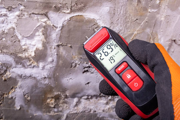 Attic Mold Removal in Lake Elsinore, CA