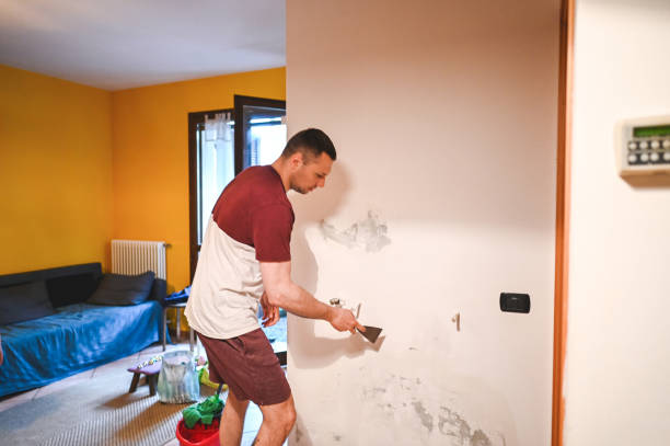 Best Mold Testing  in Lake Elsinore, CA
